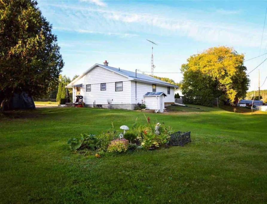 Private Cottage With Huge Private Dog Park! Barrys Bay Bagian luar foto