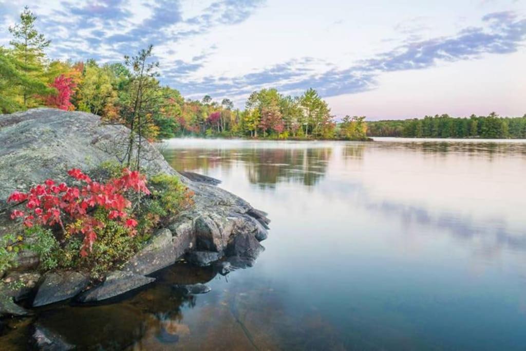 Private Cottage With Huge Private Dog Park! Barrys Bay Bagian luar foto